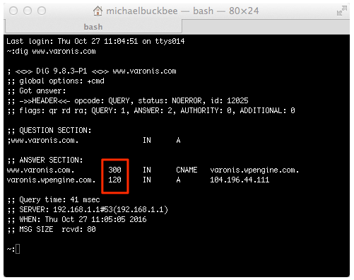 What is DNS TTL   Best Practices