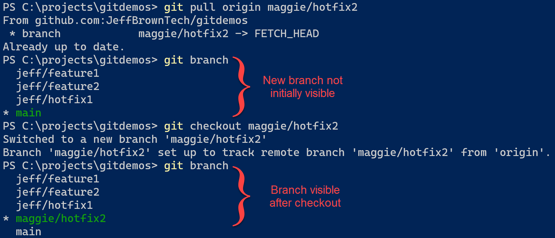 Git Pull Remote-Branch