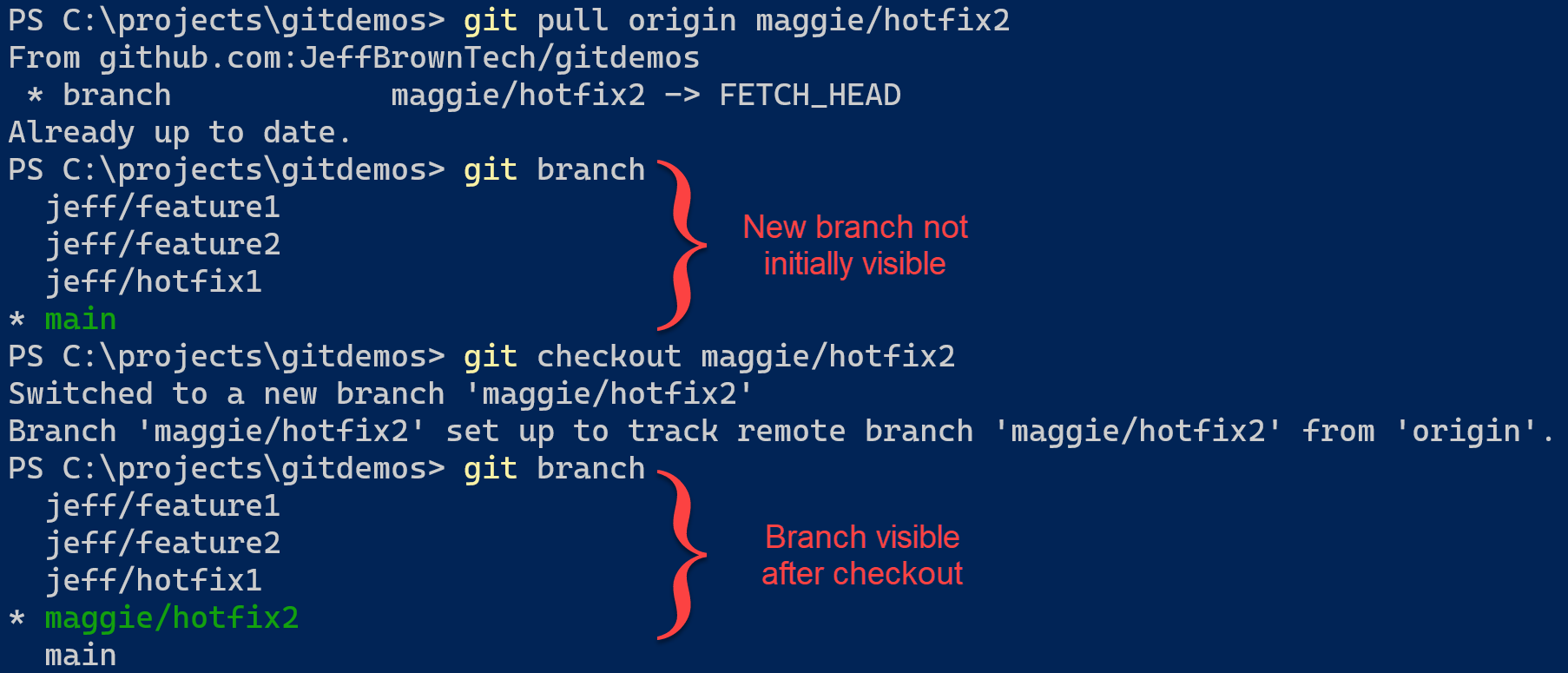 git pull remote branch force