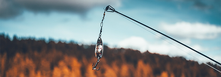 The Anatomy of a Phishing Email