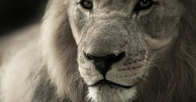 Pen Testing Active Directory Environments, Part III:  Chasing Power Users