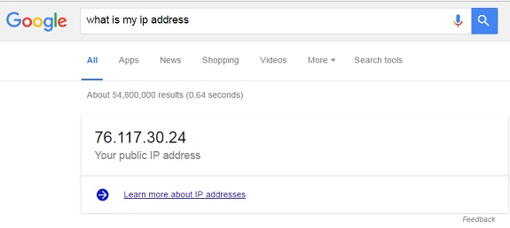 myipgoogle