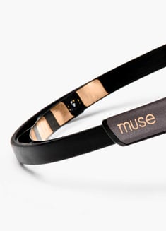 Muse