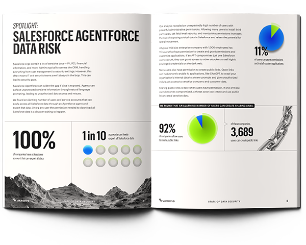 Cover image of the 2025 State of Data Security report