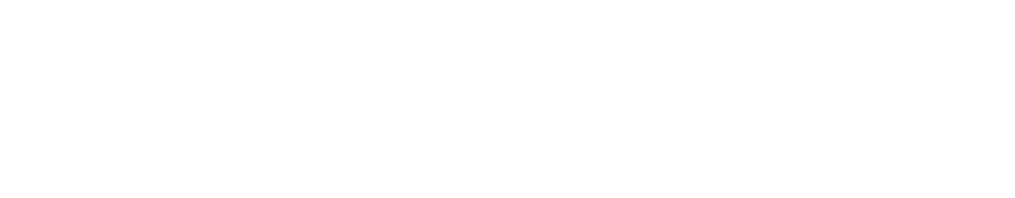 Connect User Group logo