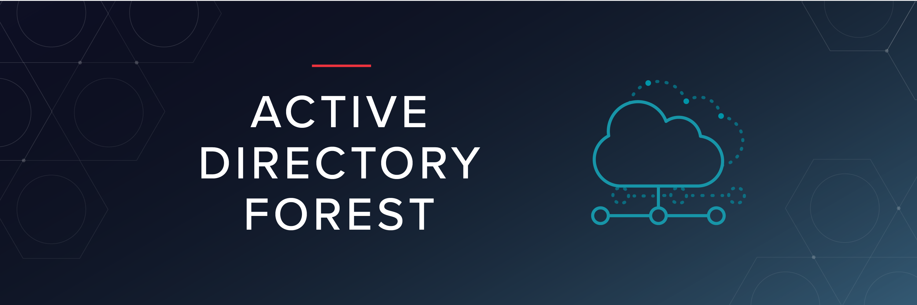 What is an Active Directory Forest?