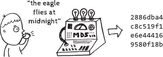 Harnessing Cryptographic Hashes for Enhanced Data Security