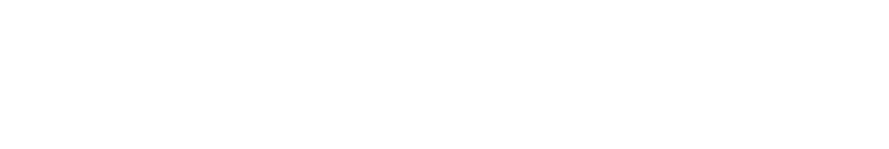 White Varonis logo