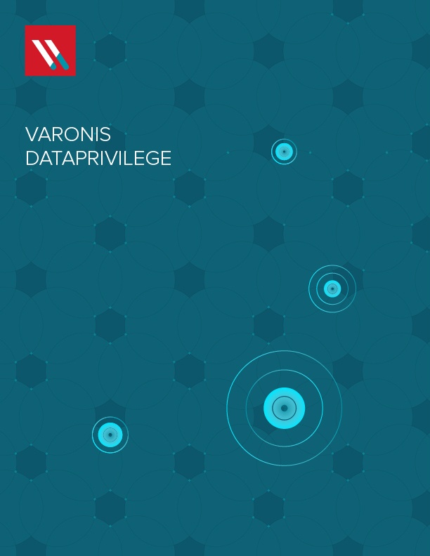 Dataprivilege